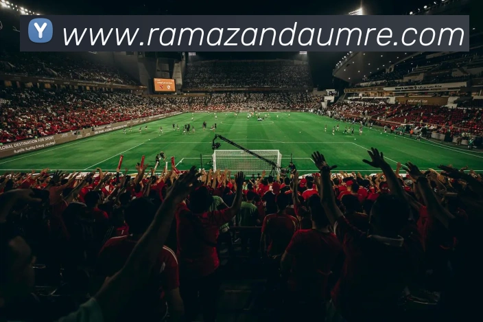 互动解说服务